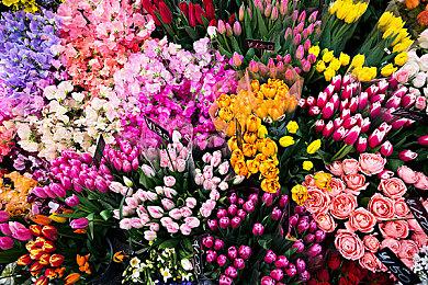 《群星》DLC“银河典范”正式发售 Steam定价68元