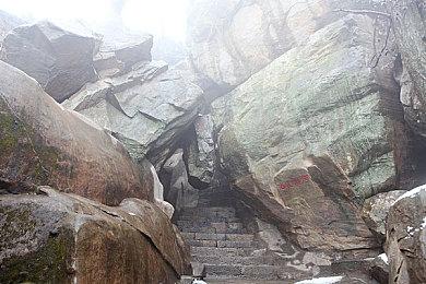 虐人之旅永不停歇 《怪物猎人》新作名称泄露？