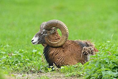 《战地6》数据挖掘显示海战内容已在开发中了